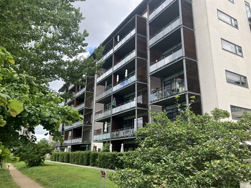 estate