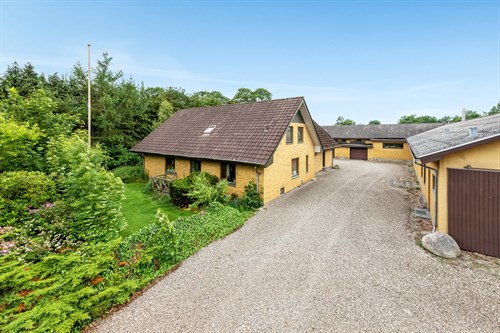 estate