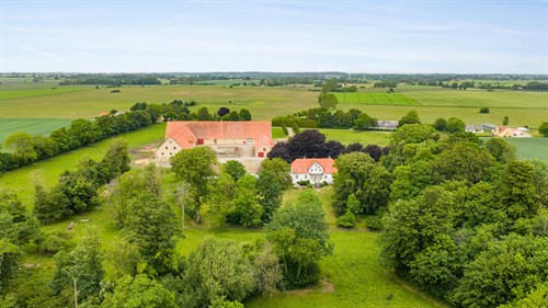 estate
