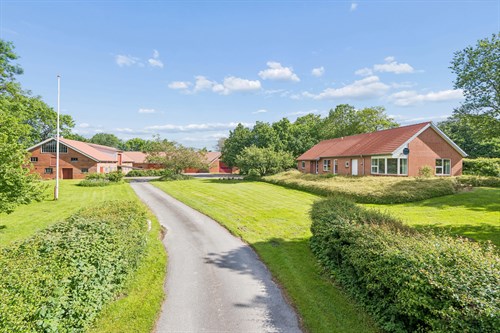 estate