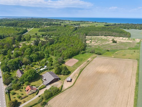 estate