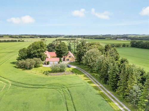 estate