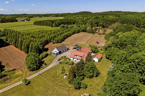 estate