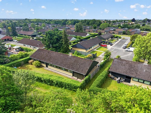 estate
