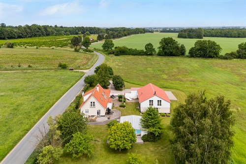 estate