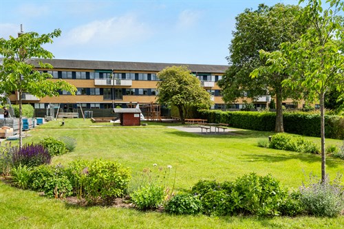 estate