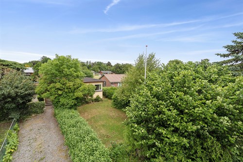 estate