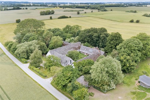 estate