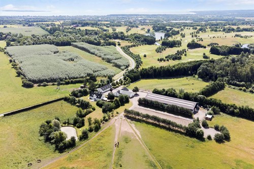 estate