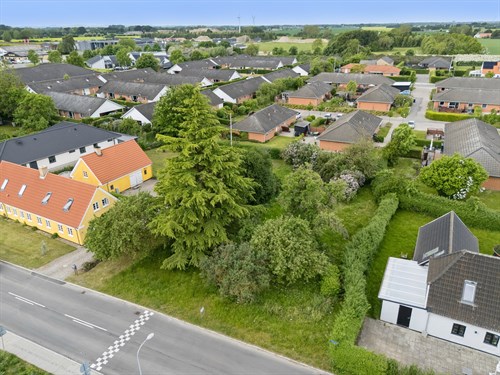 estate