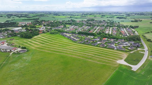 estate