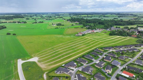 estate