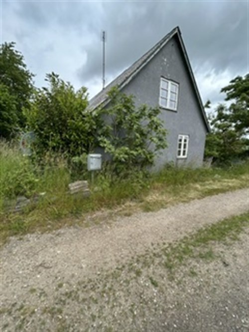 estate
