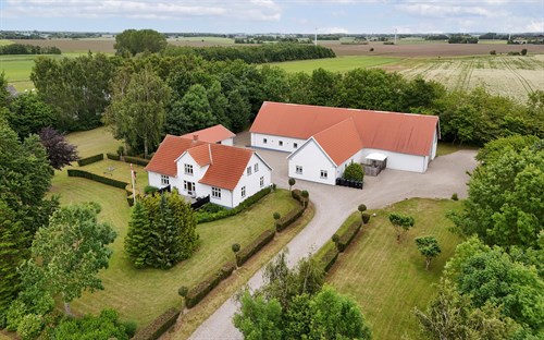 estate
