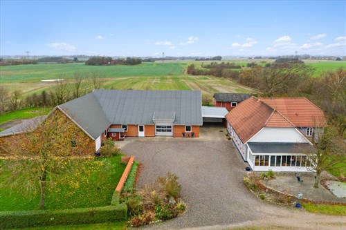 estate