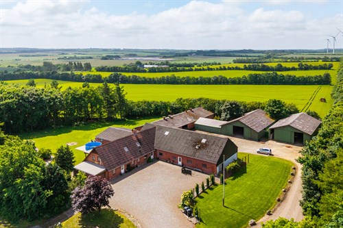 estate
