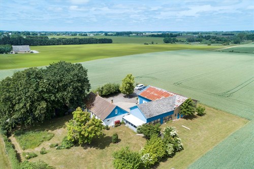 estate
