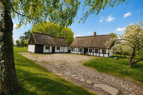 estate