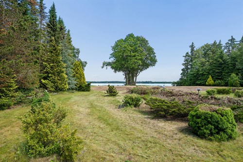 estate