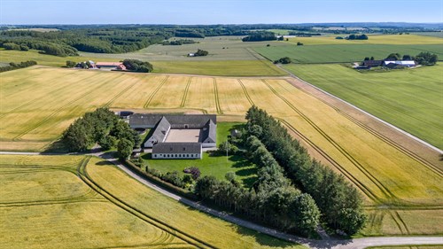 estate