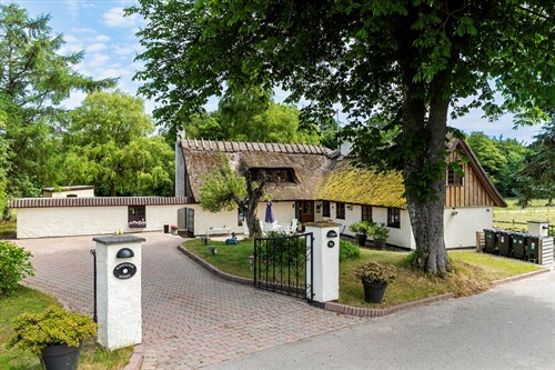 estate