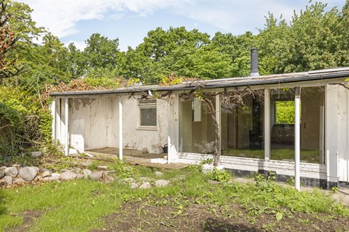 estate