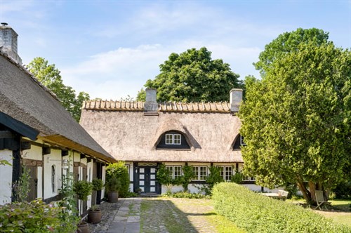 estate