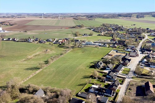 estate