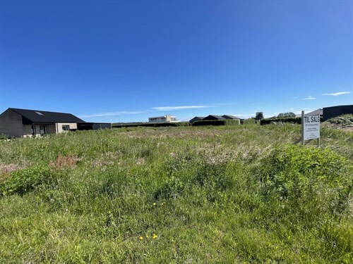estate