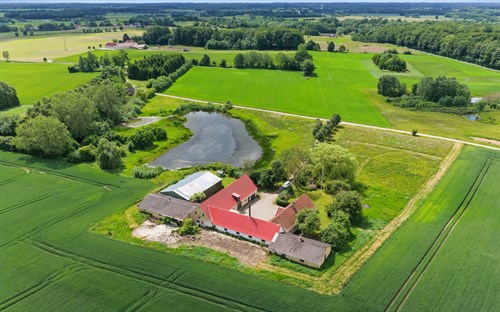estate