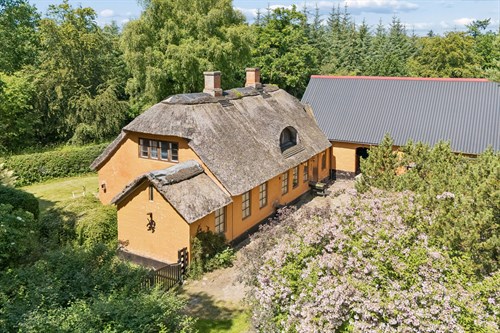 estate