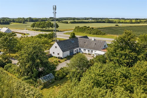 estate