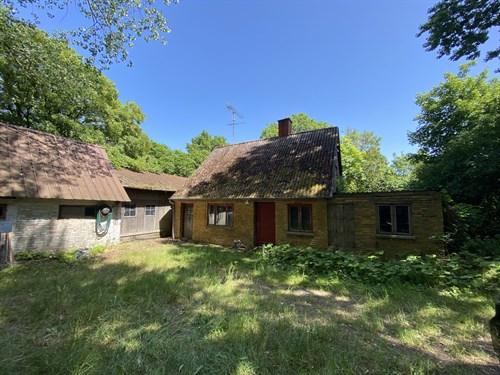 estate