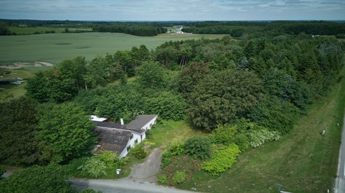 estate