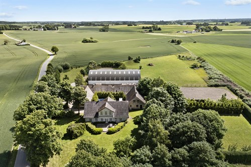 estate