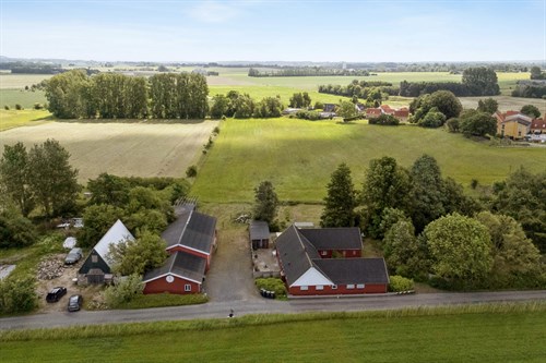 estate