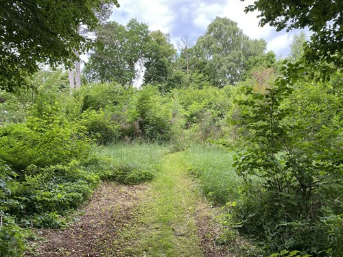 estate