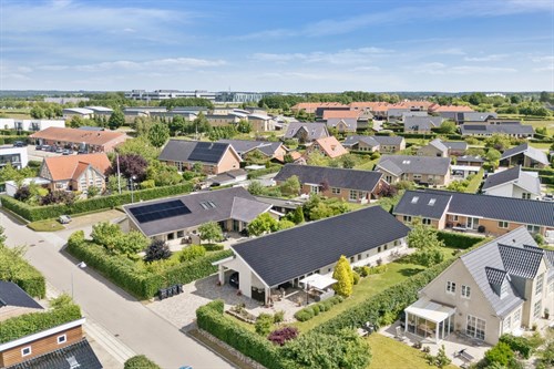 estate