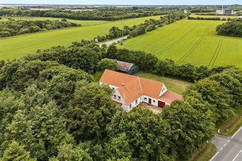 estate