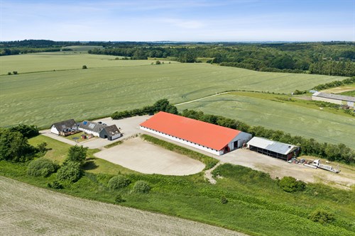 estate