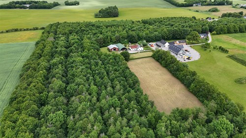estate