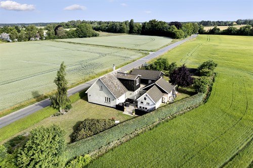 estate