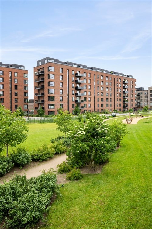 estate
