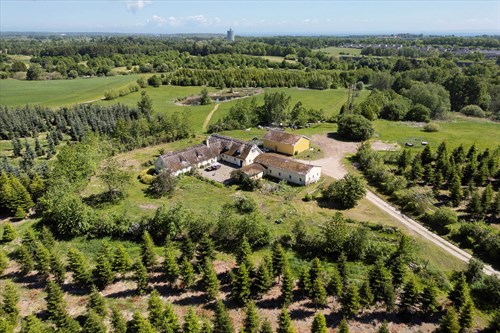 estate