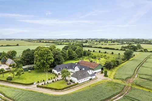 estate