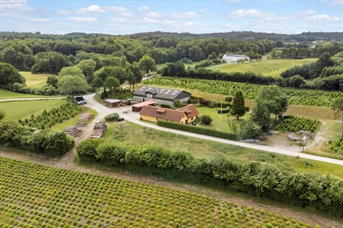 estate