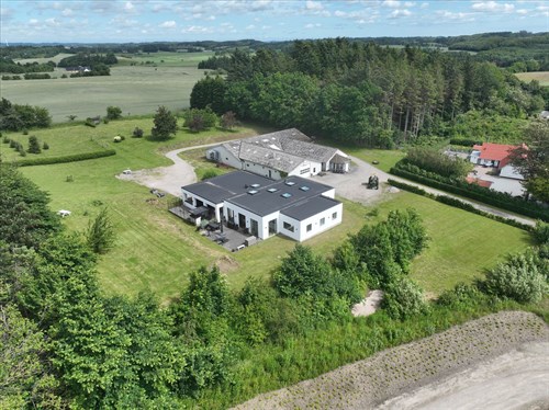 estate