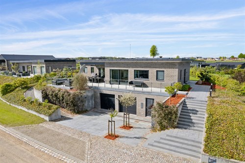 estate
