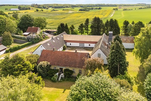 estate