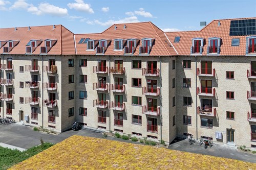 estate